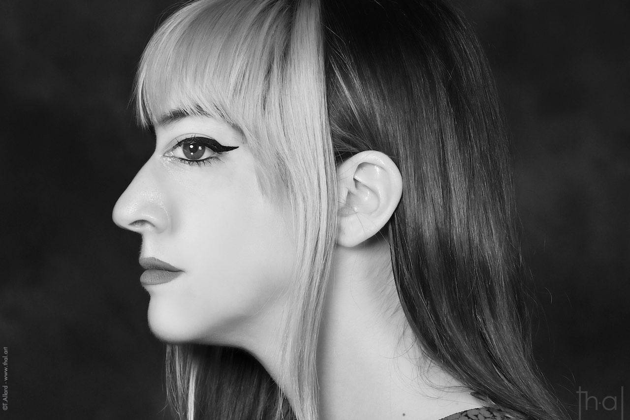 Montage photo de visage profil-face
